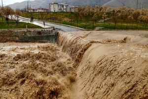 سیلابی شدن معابر عمومی شهر ایوان در استان ایلام/ ویدئو